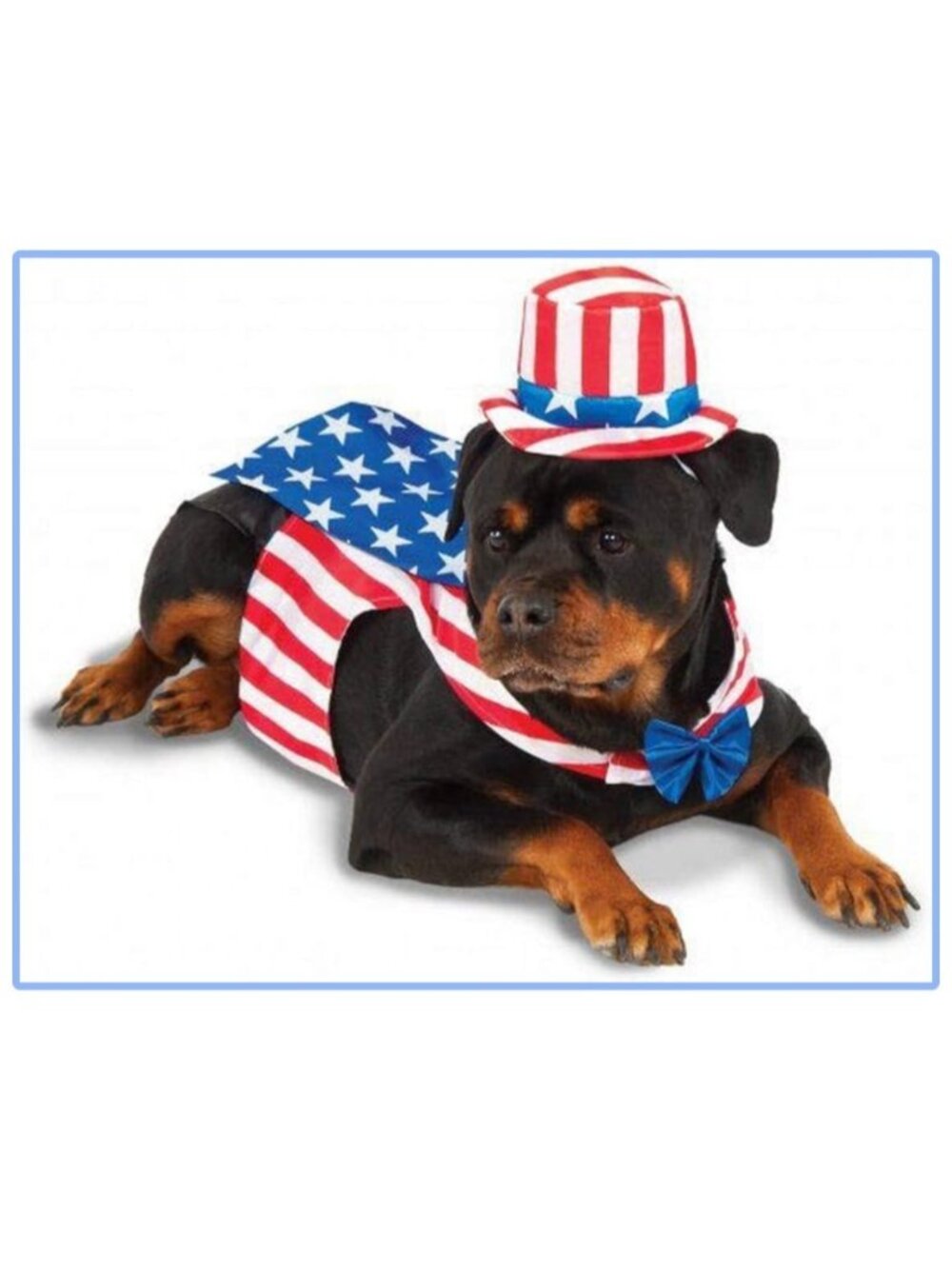 Dog Uncle Sam American 4th of July Costume Size Large